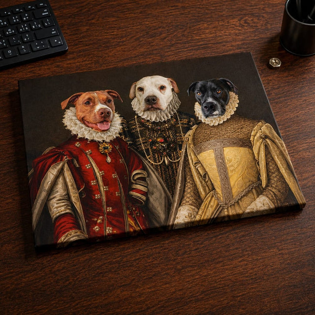 Three Queens 👑, ukázka u zákazníka