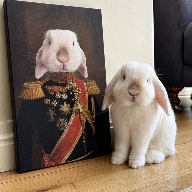 Veteran 🐾, ukázka u zákazníka