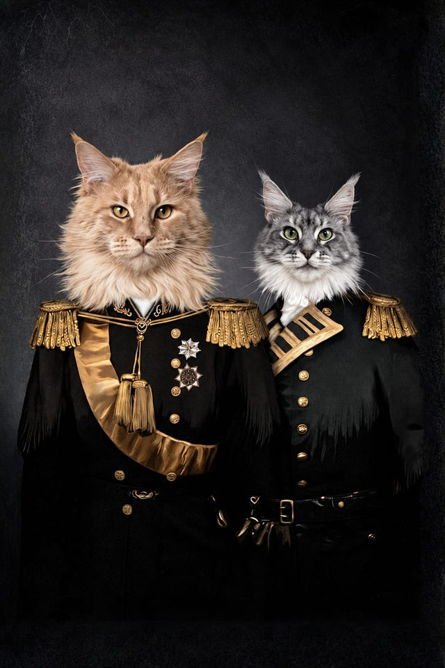 Generals 🎖️, hotový portrét