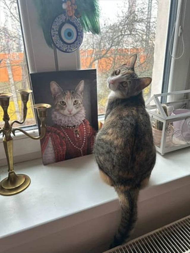 Královna 👑, fotografie od zákazníka