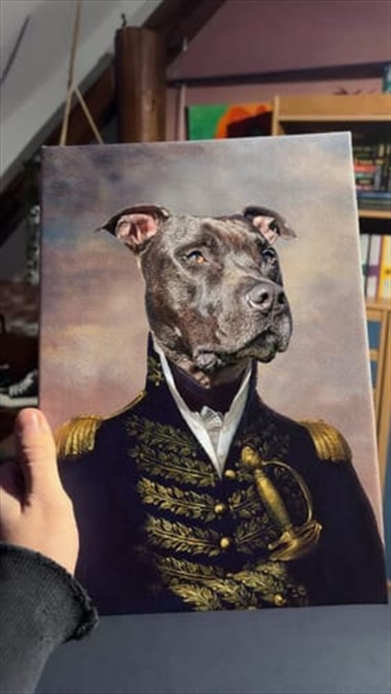 Veterán, fotografie od zákazníka