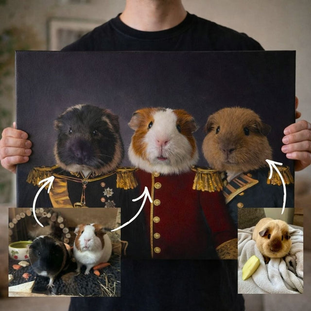 Three Generals 🎖️, ukázka u zákazníka