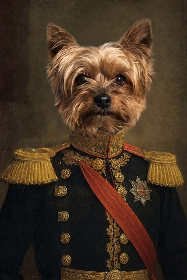Veteran 🐾, hotový portrét